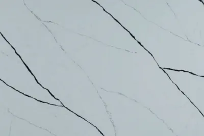 Calacatta Rainforest Black Calacatta Rainforest Black quartz slab - view 3 | White Matte