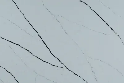 Calacatta Rainforest Black Calacatta Rainforest Black quartz slab by White Matte