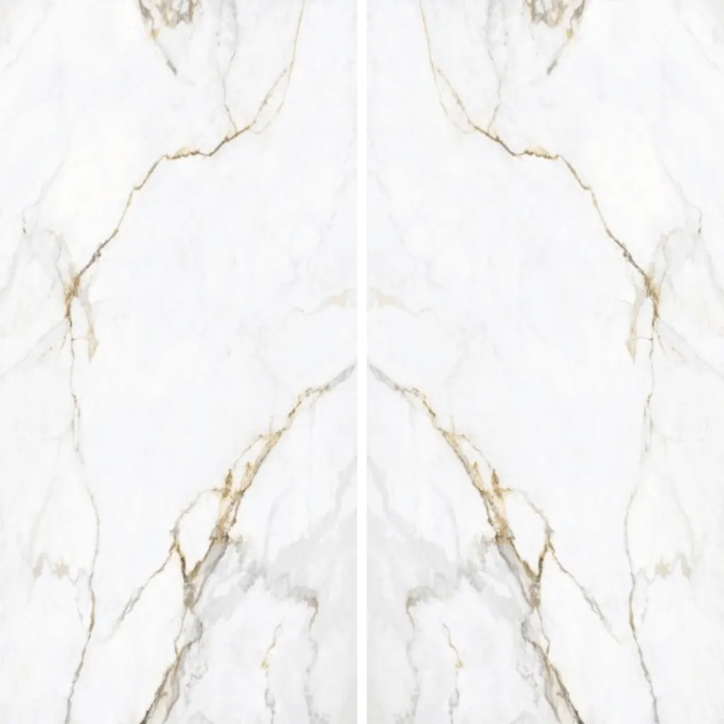 Apollo White porcelain slab by White Matte