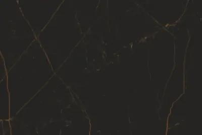 Black Noir Black Noir porcelain slab - view 2 | White Matte