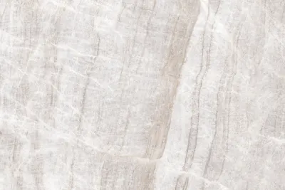 Tac Mahal Tac Mahal slab surface - view 3 | White Matte